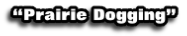 “Prairie Dogging”